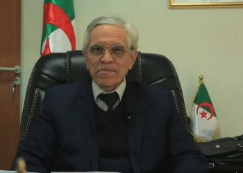 ساعة الأرض: ضرورة إشراك المجتمع المدني في الاقتصاد الطاقوي