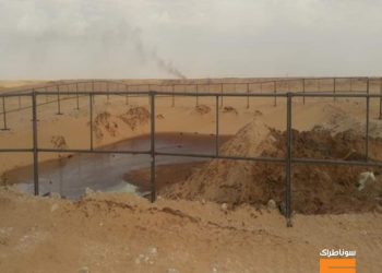 سوناطراك تساهم في معالجة 390 حوضا بتروليا بولاية إليزي