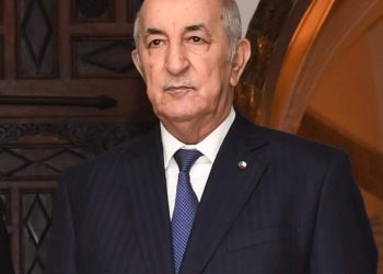 الرئيس تبون: “الانتقال إلى اقتصاد متنوع ومنتج للثروة يتطلب قطيعة مع الأنماط الماضية”