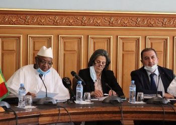 مجلس الأعمال الجزائري المالي يدعو الى تكثيف المبادلات الثنائية