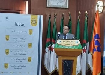 بولخراص: الشروع قريبا في مرحلة تنفيذ استراتيجية “سونلغاز 2035”