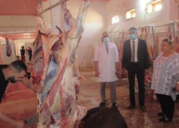 ذبح أول دفعة من الماشية بولاية أدرار والموجهة للتسويق بالمدن الشمالية للبلاد