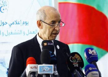 وزير الرقمنة يدعو الى تكثيف الجهود بقطاع العمل لخدمة المواطن