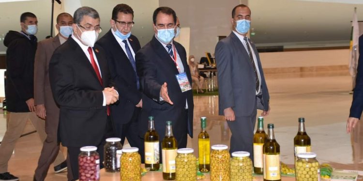 منتدى الاستثمار الفلاحي و الصناعات الغذائية : جراد يدعو المتعاملين الى الاستثمار بقوة في قطاع الفلاحة