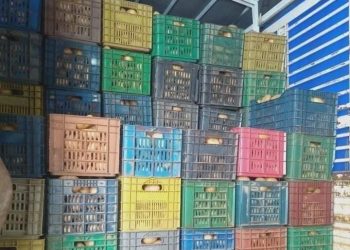 تموين السوق بمادة البطاطا بولاية المدية