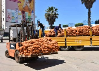 وزير الفلاحة يؤكد .. سنستمر في التدخل من اجل تموين السوق ببعض المواد الغدائية