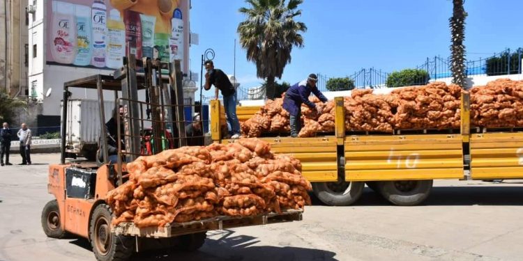 وزير الفلاحة يؤكد .. سنستمر في التدخل من اجل تموين السوق ببعض المواد الغدائية