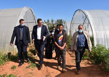 دخول الإنتاج الموسمي بقوة في الأيام القادمة سيؤدي إلى استقرار أسعار المنتجات الفلاحية خاصة البطاط