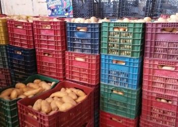 الديوان الوطني المهني للخضر واللحوم يشرع في عملية إخراج كميات معتبرة من البطاطا عبر عدة ولايات من أجل ضبط السوق واستقرار الأسعار.