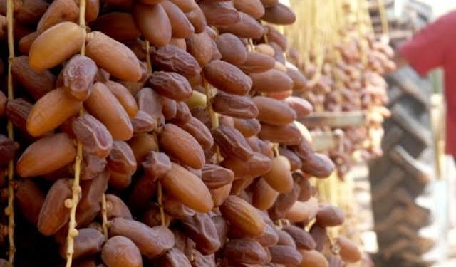 الجزائر تصدر ما قيمته 71 مليون دولار من التمور سنة 2020