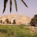 الندوة الجهوية للمؤسسات الناشئة “غرداية دسرابت” هذا الاثنين