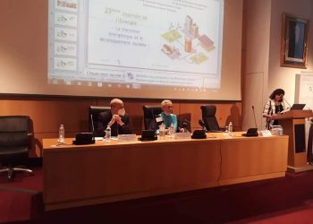 شيتور: ثمانية سنوات أمام الجزائر لتجسيد تحولها الطاقوي