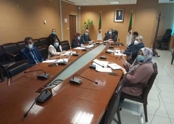 رزيق يشارك في أشغال الاجتماع الخامس لمجلس وزراء منطقة التبادل التجاري الحر الإفريقية