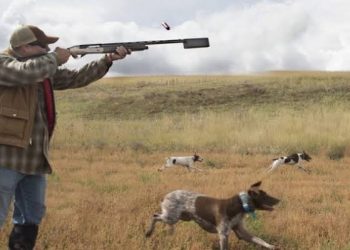 المجلس الأعلى للصيد البري أداة ضرورية للحفاظ على الثروة الحيوانية