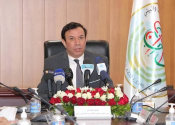 الشراكة بين القطاعين العمومي والخاص: الاستفادة من التجارب الدولية لإثراء التشريع