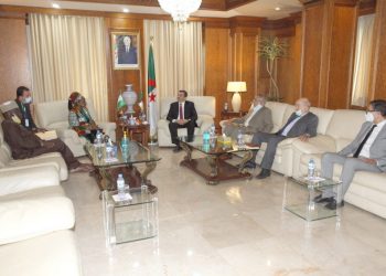 الجزائر تؤكد على أهمية تجسيد مشروع خط أنبوب الغاز العابر للصحراء