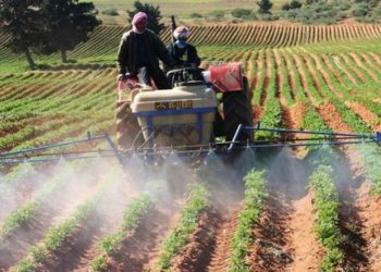 رئيس الجمهورية يؤكد على ضرورة رفع الإنتاج الفلاحي لتحقيق الأمن الغذائي