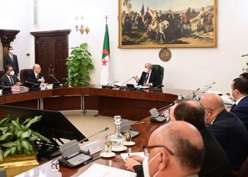 الترخيص باقتناء 15 طائرة وبواخر لنقل المسافرين والسلع