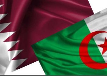 شراكات مهمة في القطاعات الإستراتيجية بين الجزائر وقطر