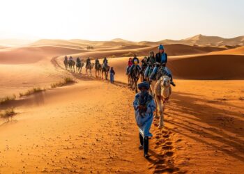 تنظيم المهرجان الدولي للسياحة الصحراوية بتيممون ما بين 4 إلى 6 ديسمبر المقبل