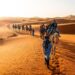 تنظيم المهرجان الدولي للسياحة الصحراوية بتيممون ما بين 4 إلى 6 ديسمبر المقبل