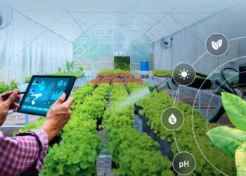 زراعة حديثة: التوقيع على اتفاقية تعاون بين مؤسسة ناشئة من معسكر وشركة أوغندية