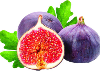 فلاحة: ترقب أكثر من 200 مشارك في عيد التين والمنتجات المحلية ببجاية