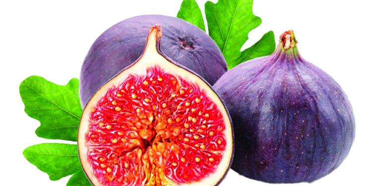 فلاحة: ترقب أكثر من 200 مشارك في عيد التين والمنتجات المحلية ببجاية