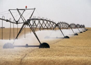 حبوب: أيام تكوينية حول تطوير زراعة الحبوب تحت الرش المحوري بتيميمون