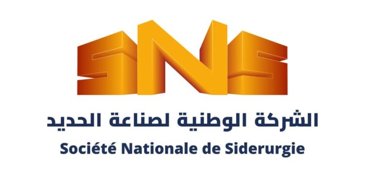 الشركة الوطنية لصناعة الحديد: الشراكات المحققة خلال معرض التجارة الافريقية سمحت بتوسيع افاق التصدير