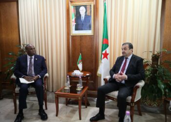 طاقة: أفريكسيمبنك يؤكد استعداده دعم مشاريع الاندماج الإفريقي التي تقودها الجزائر