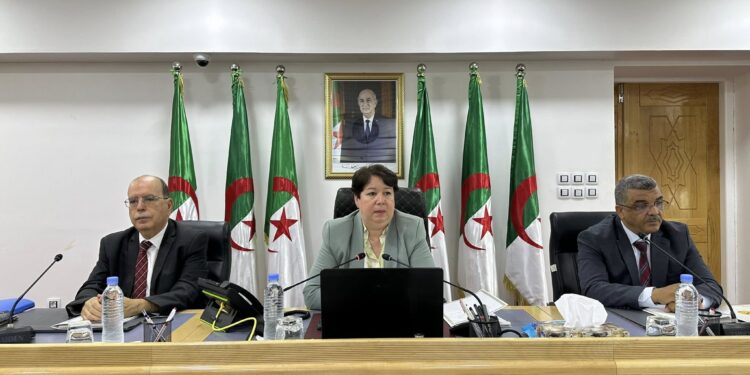 اجتماع عمل لمتابعة مشروع استغلال منجم الزنك و الرصاص تالة حمزة-واد اميزور ببجاية