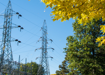 سونلغاز: إنجاز حواجز لحماية الخطوط الكهربائية ب 15 منطقة غابية بقالمة