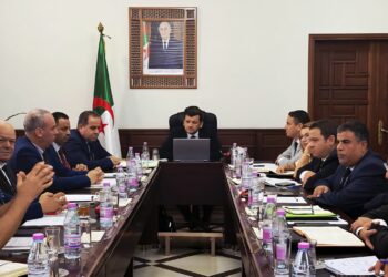 الندوة الوطنية حول الفلاحة المرتقبة في أكتوبر ستسمح بالخروج بتصور جديد لمستقبل القطاع