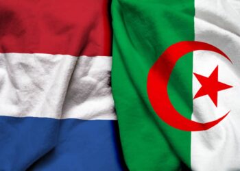 الجزائر-هولندا: إطلاق برنامج لمرافقة المشاريع المبتكرة في مجال الاقتصاد الازرق والاخضر