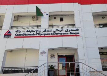 بنوك: فتح وكالة جديدة لكناب-بنك بتيبازة