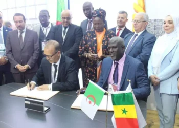 “إياتياف 2025” بالجزائر: بروتوكولات أولية بـقرابة مليار دولار بين “هولدينغ أس أن أس” ومؤسسات دولية وإفريقية