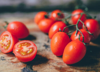 هولندا تحظر بيع بعض أصناف الطماطم الكرزية المغربية لاحتوائها مواد سامة
