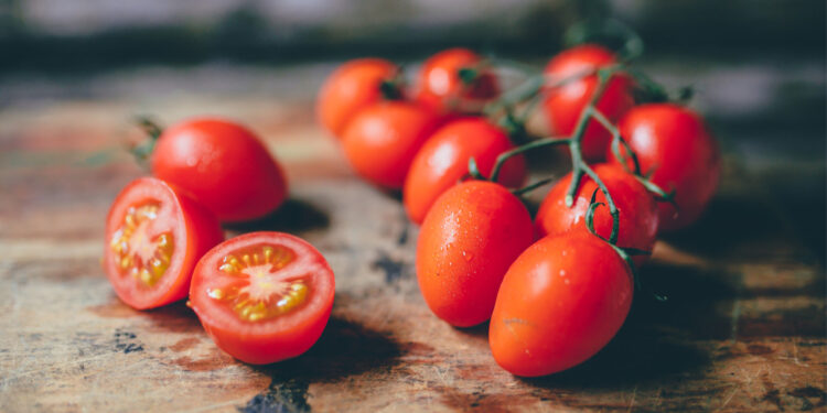 هولندا تحظر بيع بعض أصناف الطماطم الكرزية المغربية لاحتوائها مواد سامة