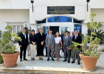 الجزائر-الدنمارك: الوكالة الجزائرية لترقية الاستثمار تبحث تعزيز التعاون مع هيئة “استثمر في الدانمارك”