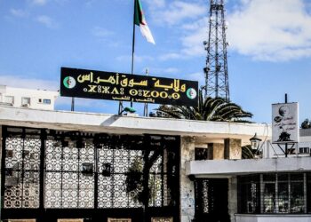 سكن: إجراء عملية بيع بالمزاد العلني ل203 قطعة أرضية سكنية بسوق أهراس