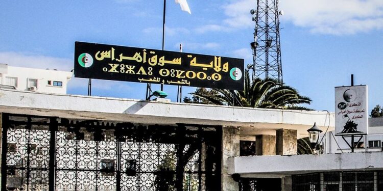 سكن: إجراء عملية بيع بالمزاد العلني ل203 قطعة أرضية سكنية بسوق أهراس