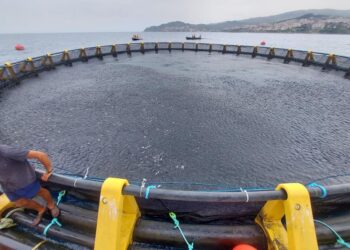 تربية المائيات: مشروع استثماري قيد الانجاز ببني كسيلة ببجاية