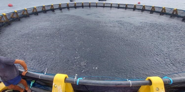 تربية المائيات: مشروع استثماري قيد الانجاز ببني كسيلة ببجاية