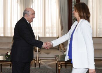 التعاون السياسي والاقتصادي بين الجزائر وسلوفينيا يشهد تطورا سريعا