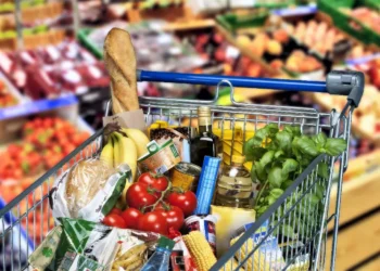 منظمة الأغذية والزراعة: تراجع أسعار المواد الغذائية عالميا خلال سبتمبر