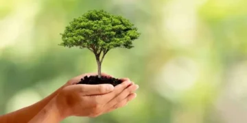 البيض: غراسة أزيد من 27 ألف شتلة من الأشجار المثمرة المقاومة للجفاف